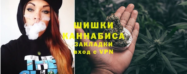 ешки Осинники