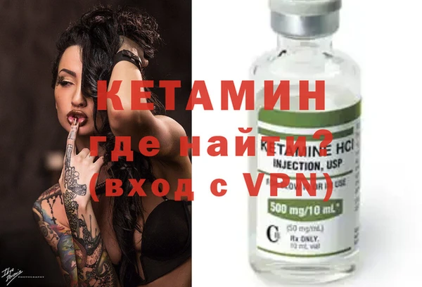 дживик Няндома