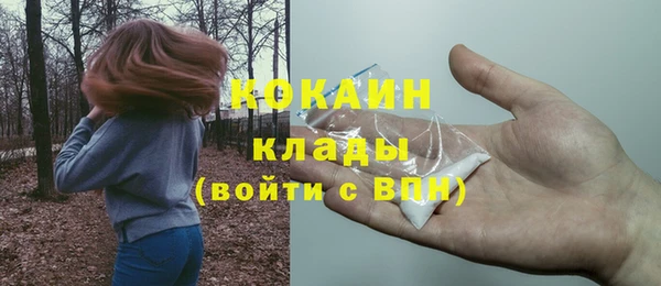 дживик Няндома