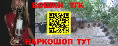 индика Балахна