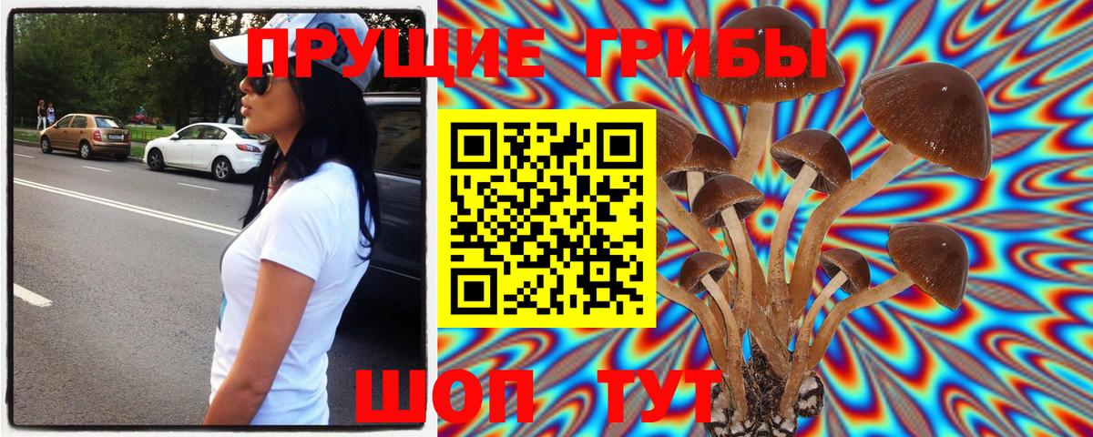 Галлюциногенные грибы MAGIC MUSHROOMS  Когалым  сколько стоит  Галлюциногенные грибы Psilocybe 