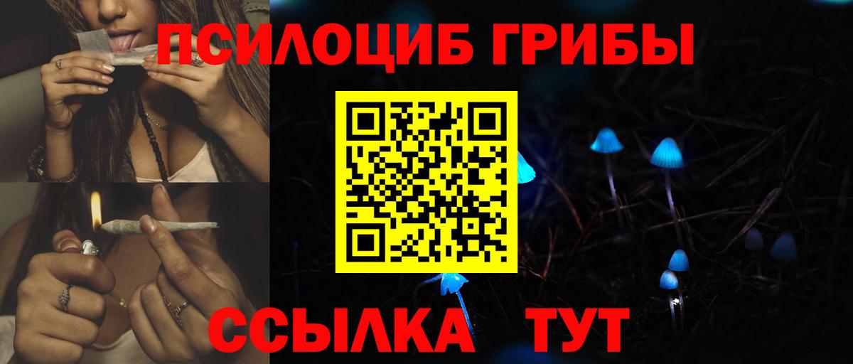 Псилоцибиновые грибы ЛСД  даркнет сайт  Псилоцибиновые грибы мухоморы  Когалым  Вход с VPN 